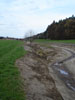 Am neuen Platz (69K)