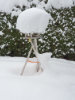 Schnee23
